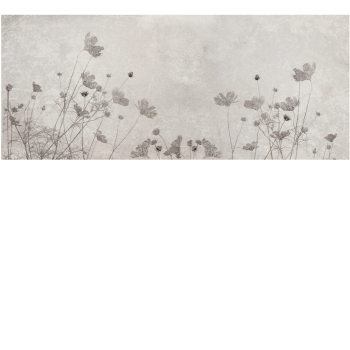 0c59c7a8351978cbb66b5073f4c23413
