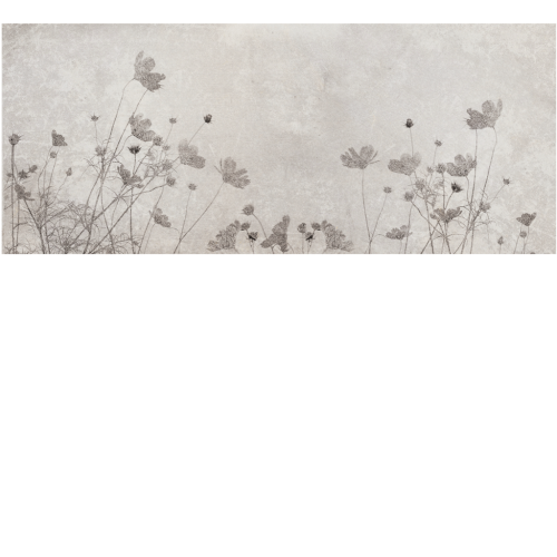 0c59c7a8351978cbb66b5073f4c23413