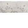 0c59c7a8351978cbb66b5073f4c23413