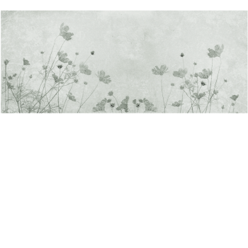 6959a7fe62b6c5e798310d29d1b2cb27