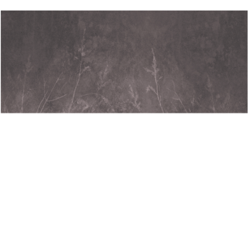 aec43df65b526c58888ae4489dbf9e33