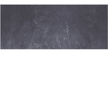 c852fa6bf74363ae82163a3addd9e853