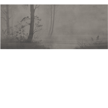 26dc8c317fc7dec24621b07559ed9bcf