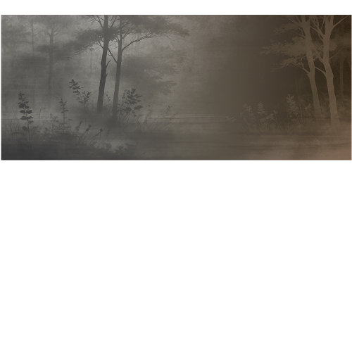 e594f630de40b8848bfe2f49e4c9a930