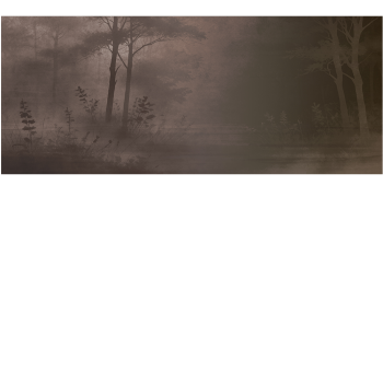 686b5a541663cf3bb6d76207ebcb6eff