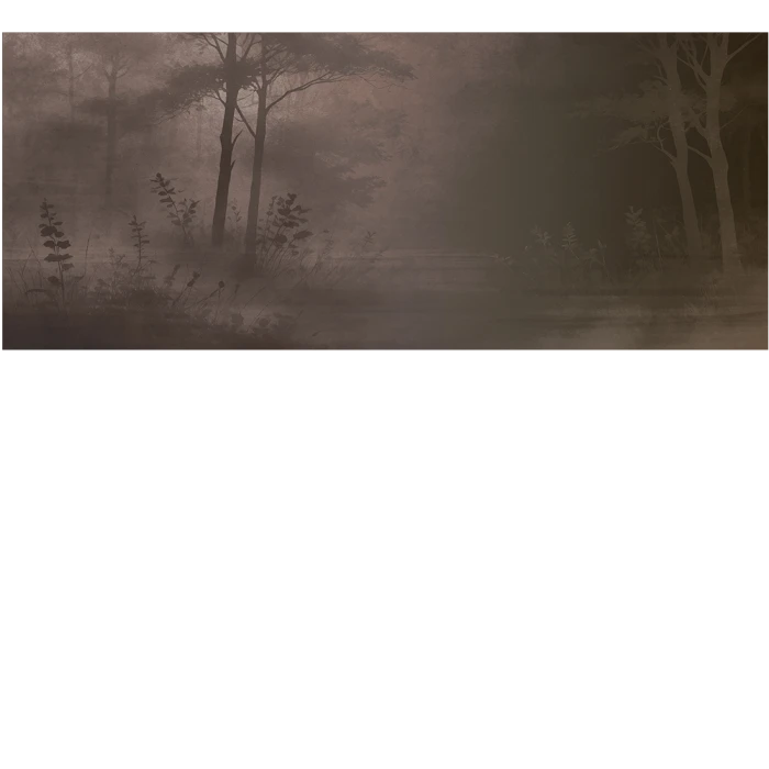686b5a541663cf3bb6d76207ebcb6eff