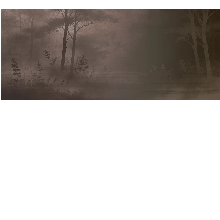 686b5a541663cf3bb6d76207ebcb6eff