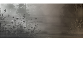 c11e9c17c03543f28983a72e32b5021c