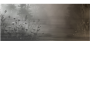 c11e9c17c03543f28983a72e32b5021c