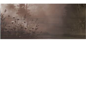 d58fdd297eabc598705018794fd79bca