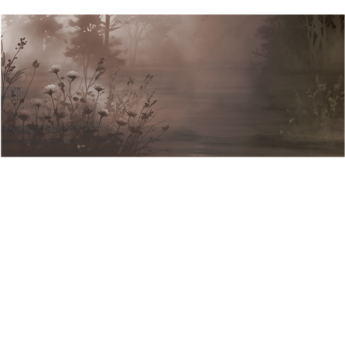 d58fdd297eabc598705018794fd79bca