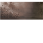 d58fdd297eabc598705018794fd79bca
