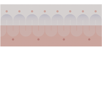 463130f912ae146e30fc897fa31a2a28