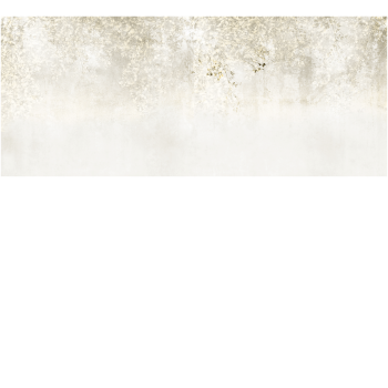 67dc332b244ef595a467a4b29bf2f1f9