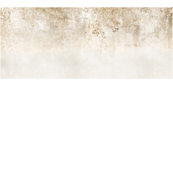 e538b608635dd4824f16a438a3795652