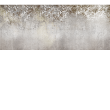 19da284dfe7055808b6b02470992a204