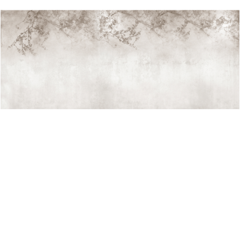 f6b6b8f492d8737a15a92544c815decf
