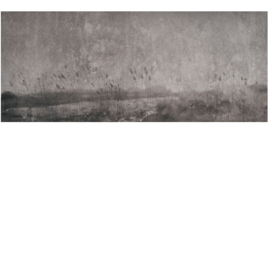 Yo2 MY1.05.1 Comformation Species - mural w abstrakcyjny pejzaż
