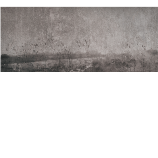 Yo2 MY1.05.1 Comformation Species - mural w abstrakcyjny pejzaż