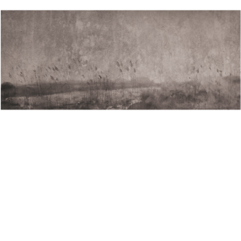 baab996fd9c59d1c990b47831ea3c958