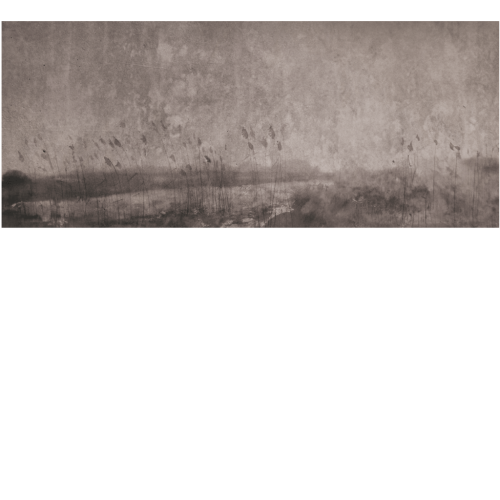 baab996fd9c59d1c990b47831ea3c958