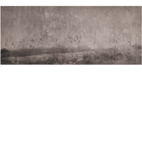 Yo2 MY1.05.2 Comformation Species - mural w abstrakcyjny pejzaż