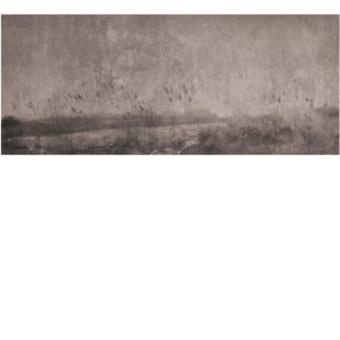 baab996fd9c59d1c990b47831ea3c958