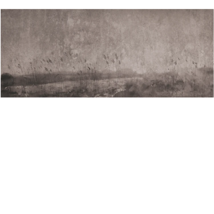 baab996fd9c59d1c990b47831ea3c958