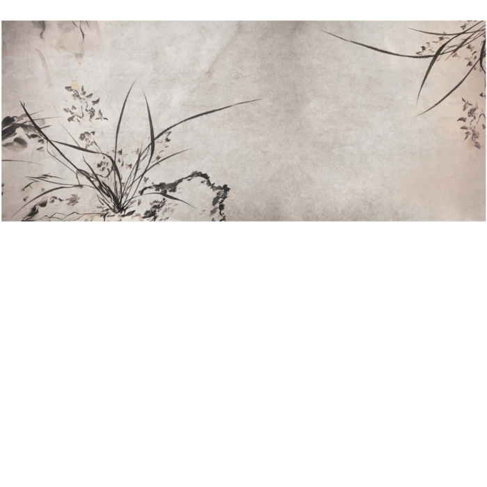2802ee8a051bc8d99a82d9874b107206