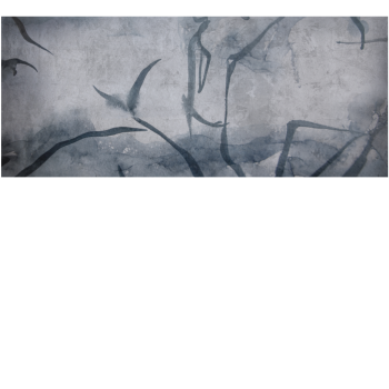 b717e7a00dd9cd98d7c2db4505a1bcb5