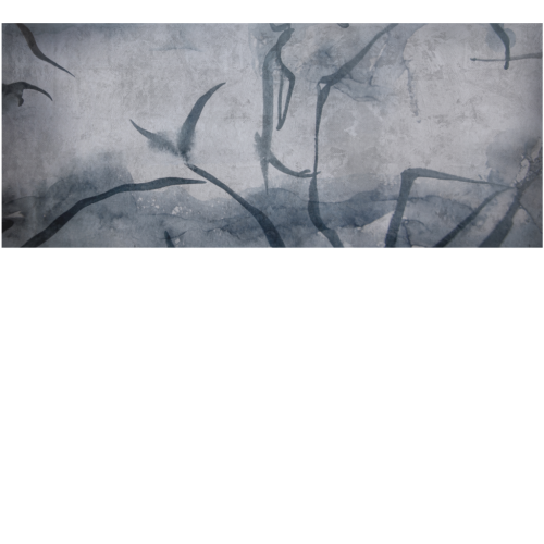 b717e7a00dd9cd98d7c2db4505a1bcb5