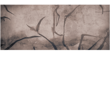4646b702d4d27d0920de43a433d8d9f8