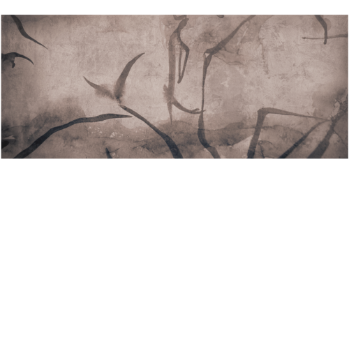 4646b702d4d27d0920de43a433d8d9f8