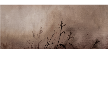 b22040efc8f0dfaaeb72ffba0c55bedf