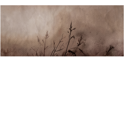 b22040efc8f0dfaaeb72ffba0c55bedf