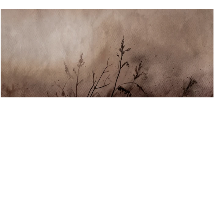 b22040efc8f0dfaaeb72ffba0c55bedf