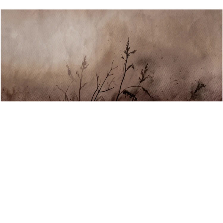 b22040efc8f0dfaaeb72ffba0c55bedf
