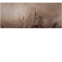 b22040efc8f0dfaaeb72ffba0c55bedf
