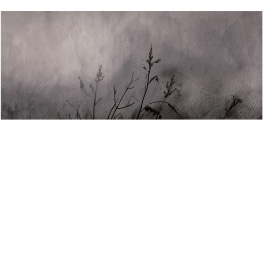 Yo2 MY1.10.2 Comformation Species - mural w polne trawy w abstrakcyjnym stylu