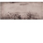 2589dc65d98840ed859bcfefbbda2ba8