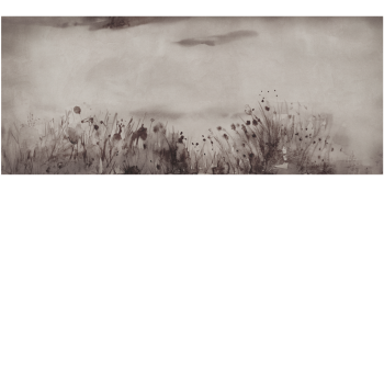 ed7a1b4b4825dc19c87d5d3df313a974