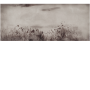 ed7a1b4b4825dc19c87d5d3df313a974