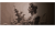 eb5d0745d18b4b6cdd8b2297dfb7f711