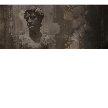 02d81c55866c98703c0c9dc7a67194e3