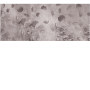 daec2c0c01f6f37be36c42f4900f6349