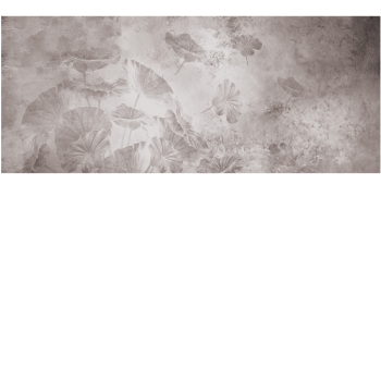 3355af56eb74b76c74b59e4e6b8af7ac