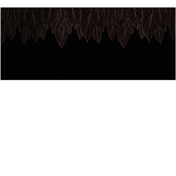 df1ced2f89246a8649472cb548dfdd38
