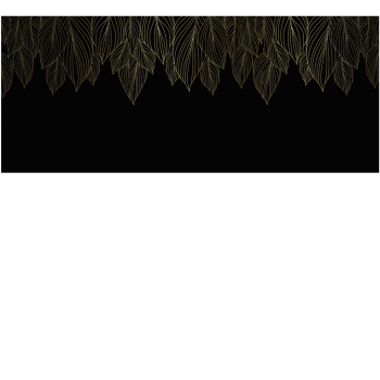 cf00e745f70afe8b5fa1b4e92cbcef0f