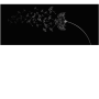 1813129b5a7441ac590f6e4dd072bfb1