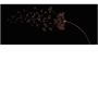 7c6d32045bee46f8530a72239a46d846